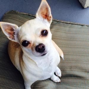 Meet your Posher, Soojin